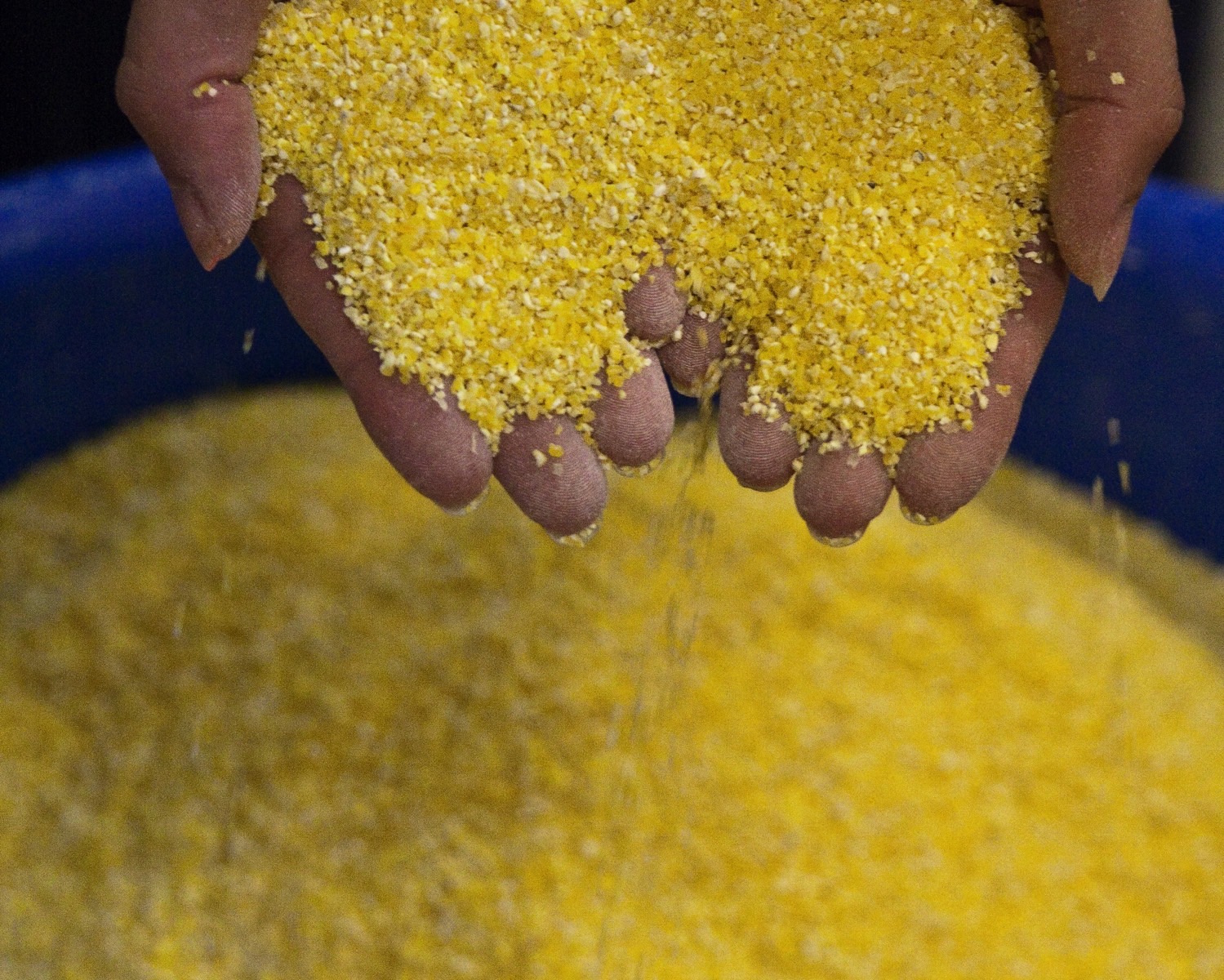 McEwen and Sons Yellow Grits