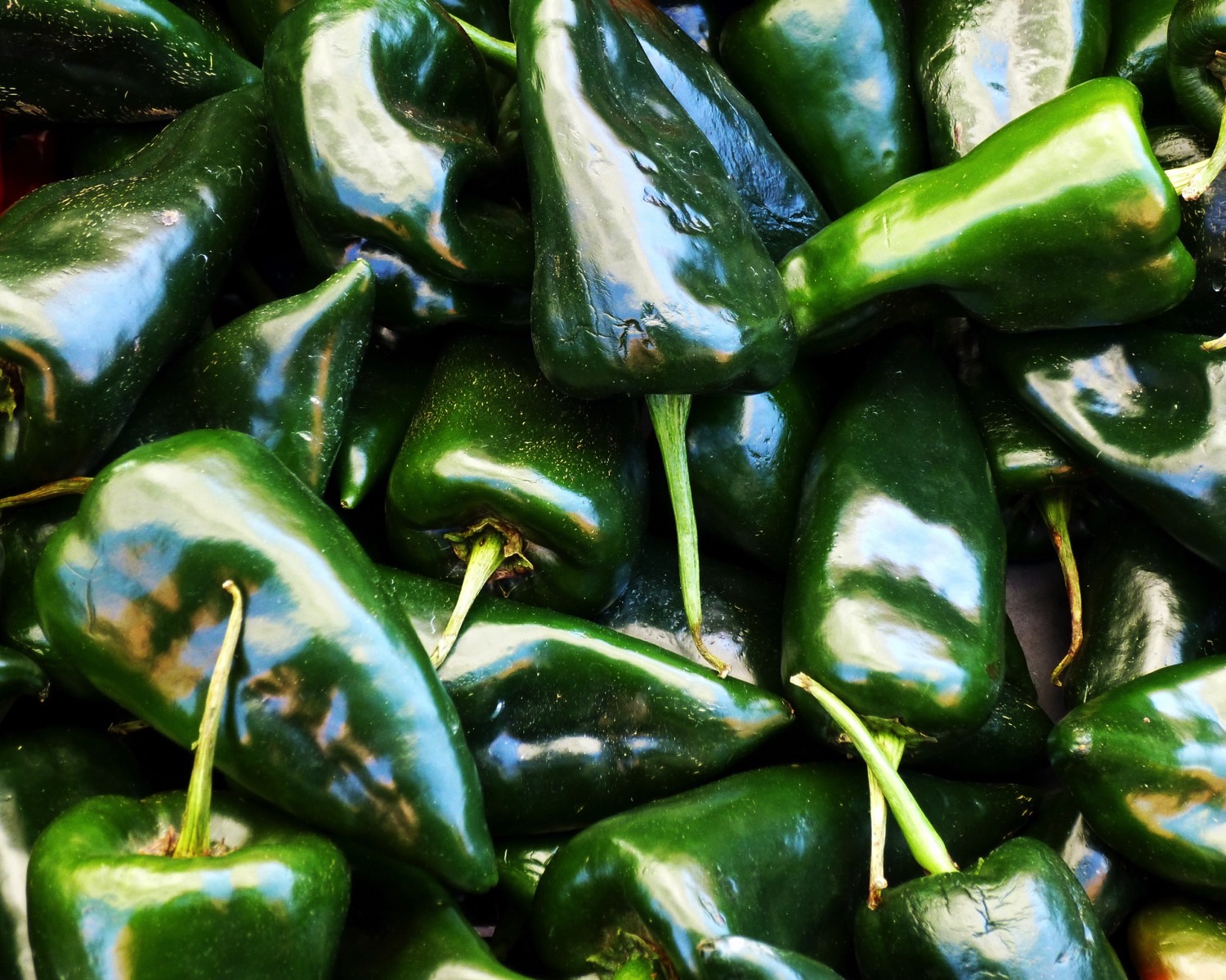 This recipe for roasted poblano peppers stuffed with polenta comes from che...