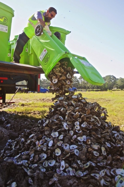 Recycling Oyster Shells